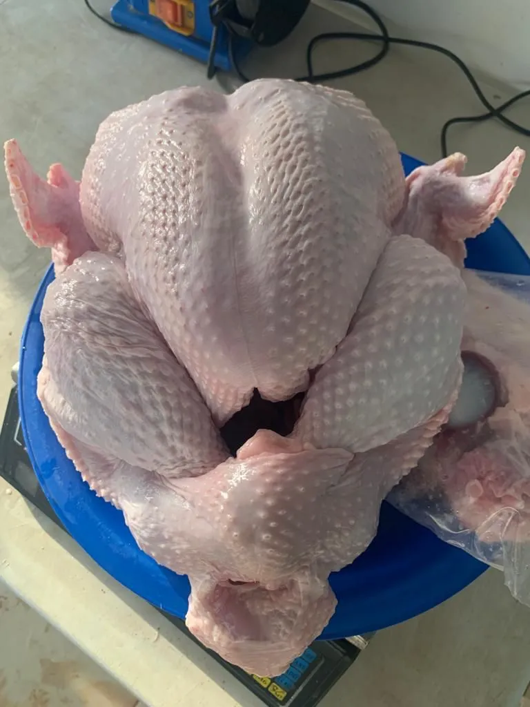 Turkey