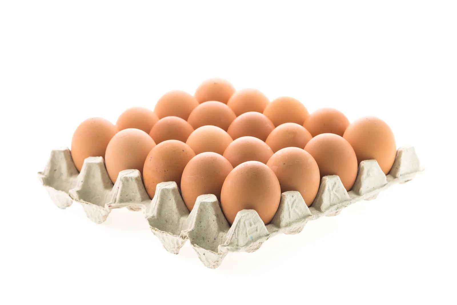 Fresh Eggs